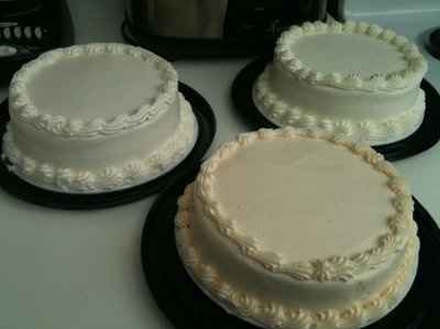 Help!! Wedding cake samples! *pic