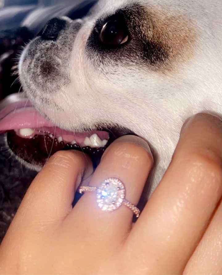 2023 Brides - Show us your ring! - 1