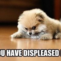 Recap from a wedding