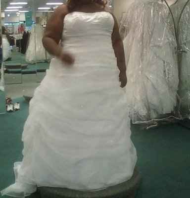 Plus size brides you're help is needed