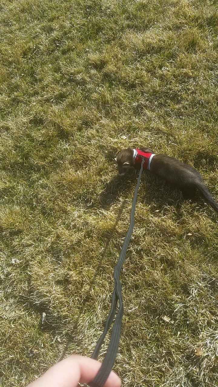 It's Fursday! Share the love!