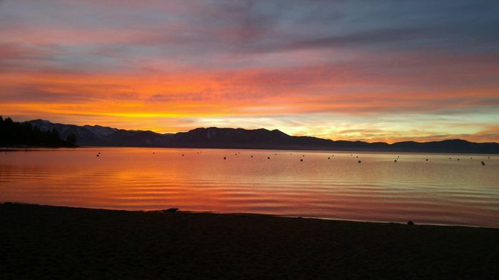 California Brides....