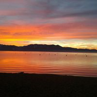 California Brides....