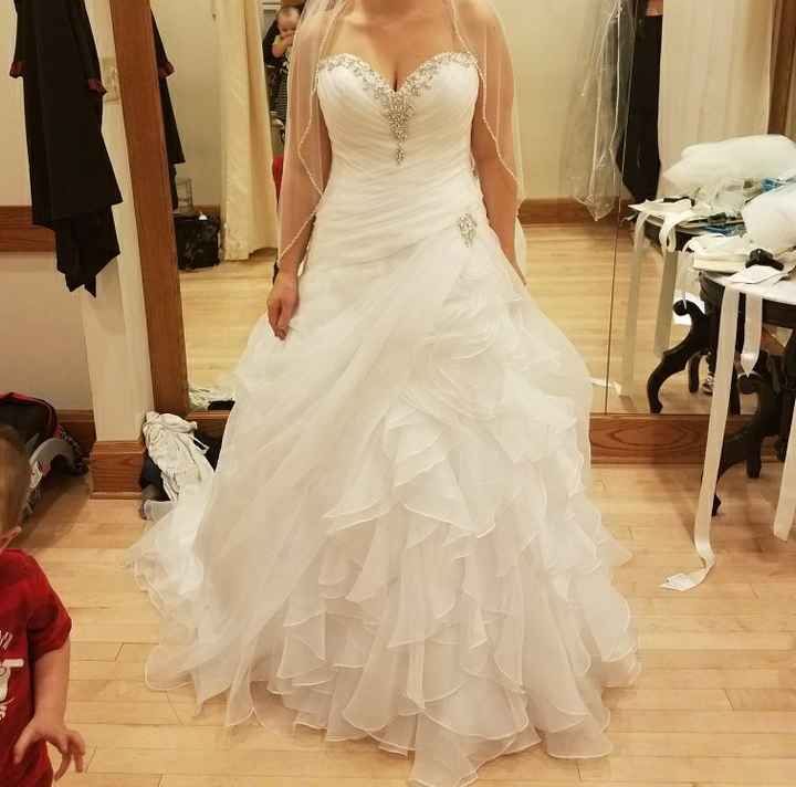 My Dress Came In!!! - Please share yours 😆 - 1