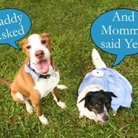 Save The Dates - When should I send them?