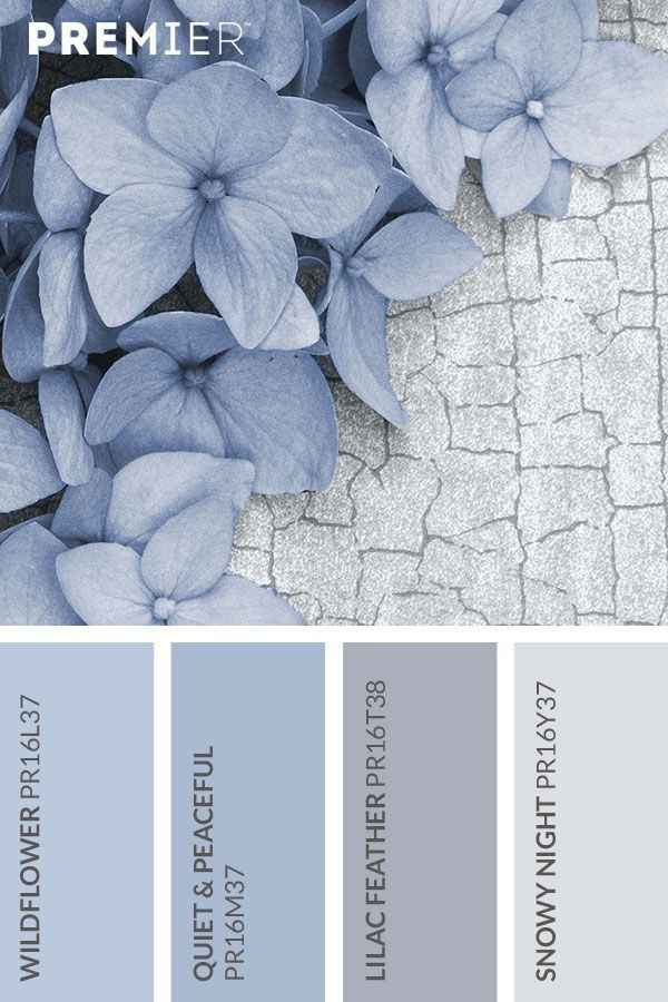 What are your wedding colors! - 1