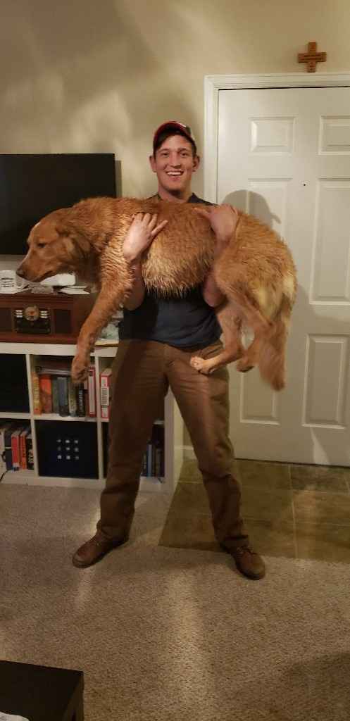 Show me your fiance and pet - 1