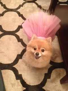 NWR: Mrs. A & J - This one's for you!!