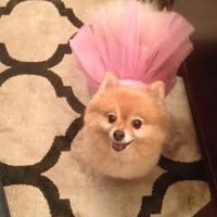 NWR: Mrs. A & J - This one's for you!!