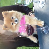 NWR: Mrs. A & J - This one's for you!!