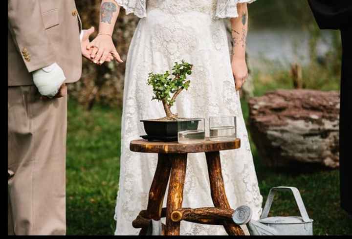 Pro bam cinco de Mayo! Lots of pics! - 2