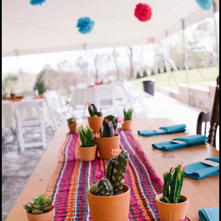 Pro bam cinco de Mayo! Lots of pics! - 3