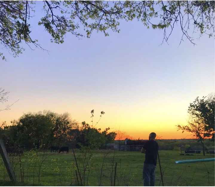 My Backyard Wedding Venue