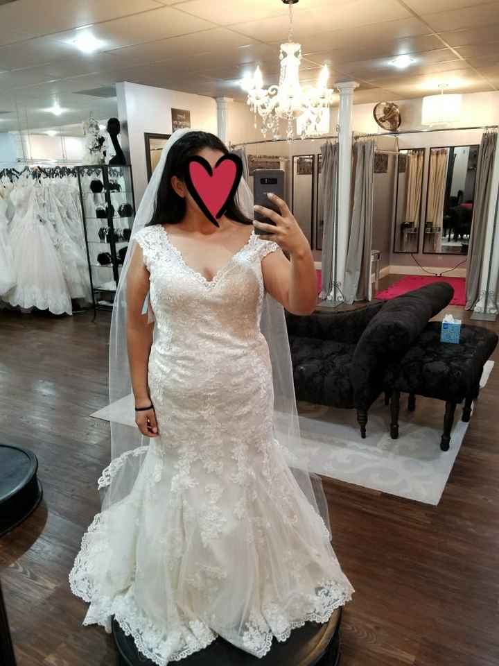  My Dress Is Here! - 1