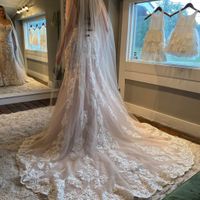 I just picked out my dress on Saturday!