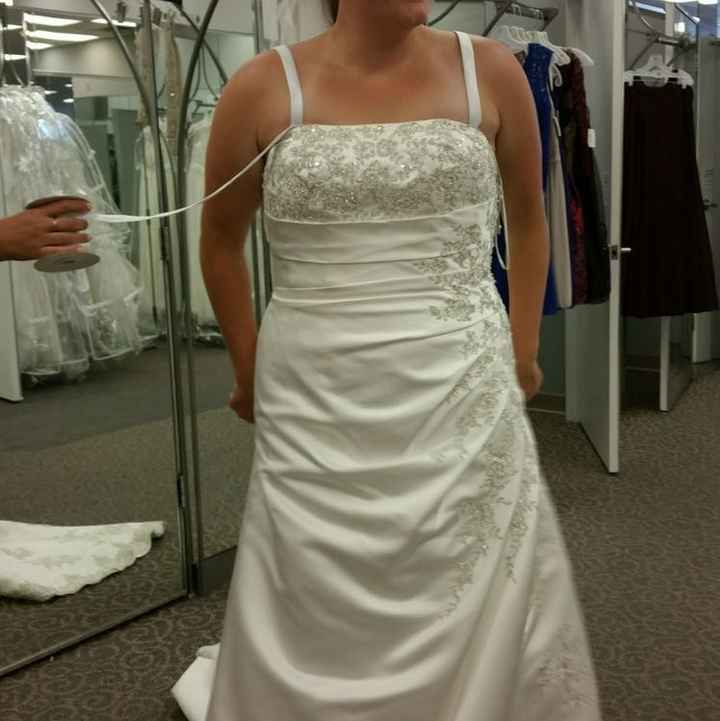 David's Bridal Brides! - 2