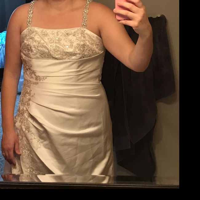 Show me your David's Bridal Dresses 6