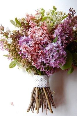 what kind of flowers is everyone doing???? pics