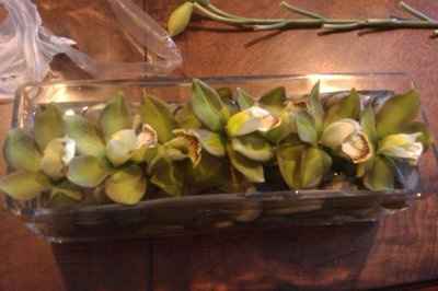 Finally an album of non-pro pics!