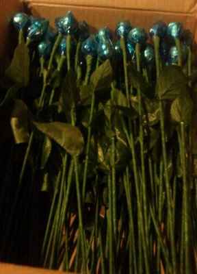 How much on your guest