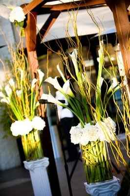 What are these things called?