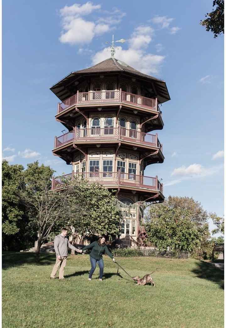 My dog was a fool in our epics! But I love it!