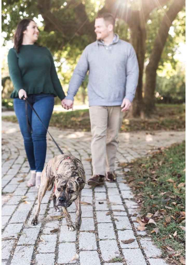 My dog was a fool in our epics! But I love it!