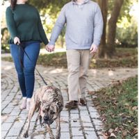 My dog was a fool in our epics! But I love it!