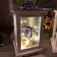 Decorated my first arch!!!! - 7