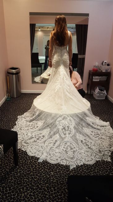 Bustle on a Court Train? 3