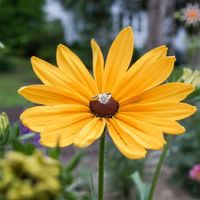 Share your ring!! - 1