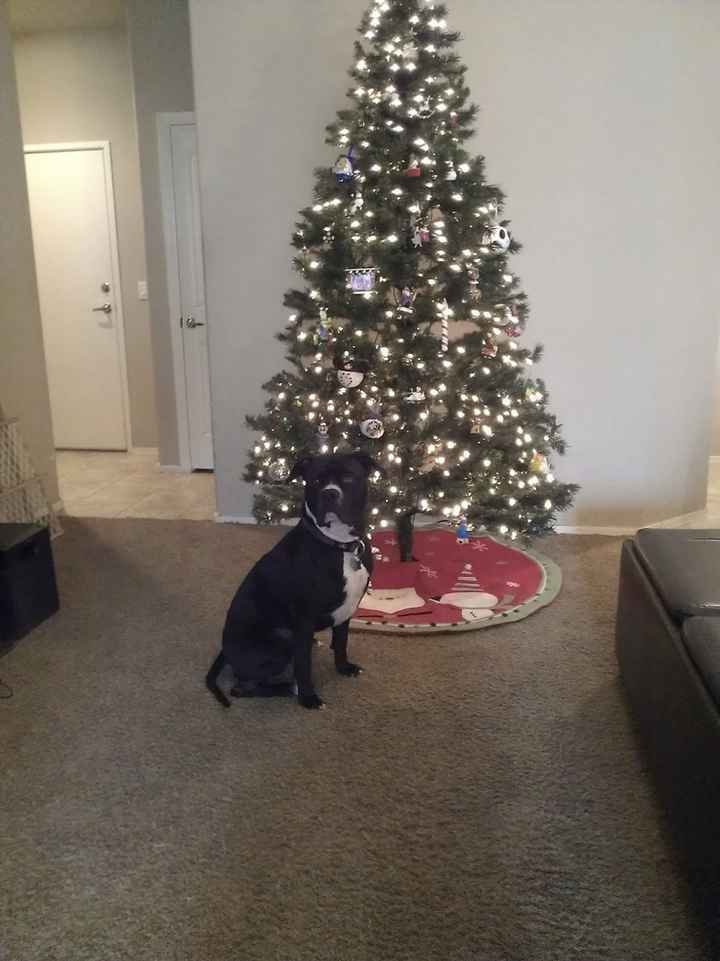 We've seen your rings, your dresses, your jewels.... show me your