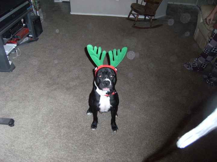 We've seen your rings, your dresses, your jewels.... show me your