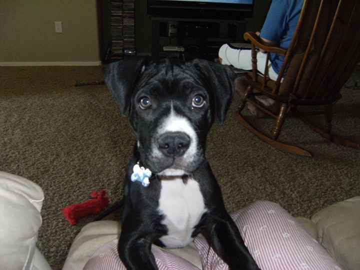 We've seen your rings, your dresses, your jewels.... show me your