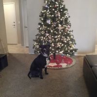 We've seen your rings, your dresses, your jewels.... show me your