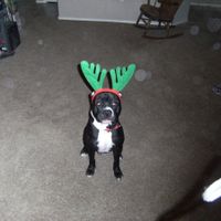 We've seen your rings, your dresses, your jewels.... show me your