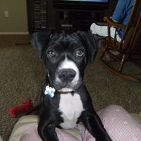 We've seen your rings, your dresses, your jewels.... show me your