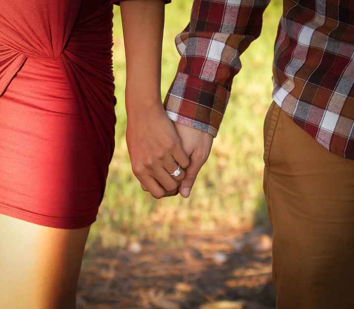 anybody DIY engagement pics?