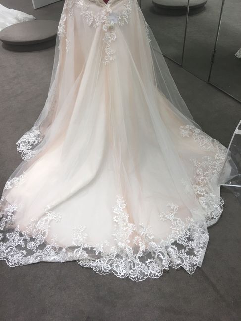 Davids Bridal Dresses!