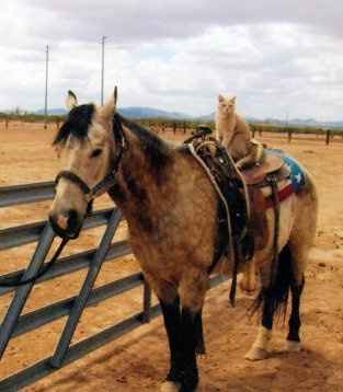 *NWR* Show me your pets/animals! *PICS*