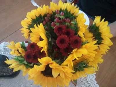 What kind of flower is this?