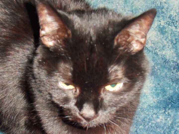 NWR - Furbaby Friday