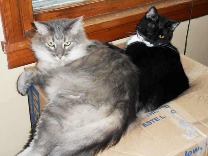 NWR - Furbaby Friday