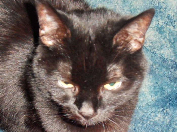 NWR - Furbaby Friday