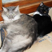 NWR - Furbaby Friday