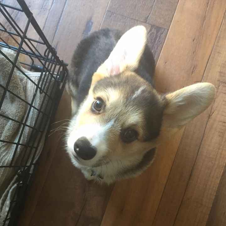 It's Fursday! Share the love!