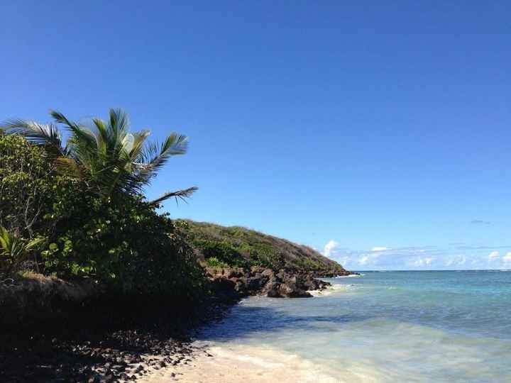 Puerto Rico... Anyone??!
