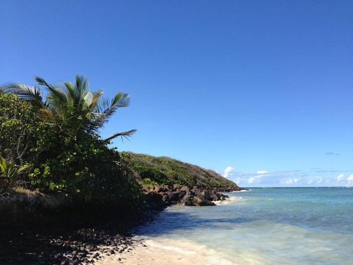 Puerto Rico... Anyone??!