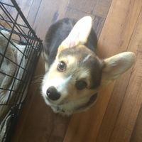 It's Fursday! Share the love!