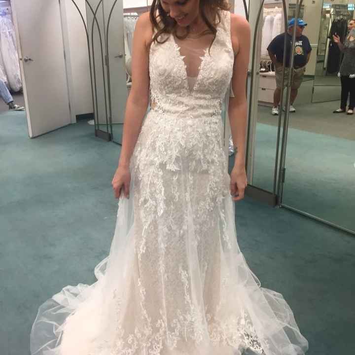 Bridesmaid Dress opinion  Please!!!